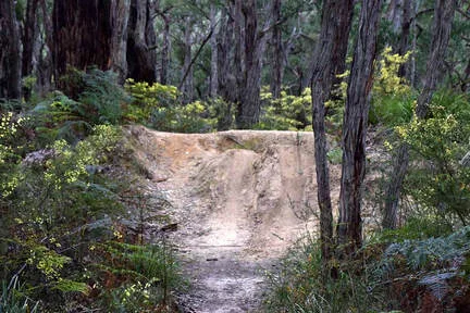 Image description